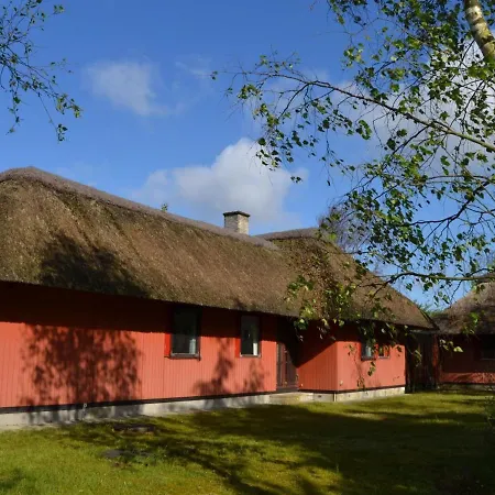 Helline - 900m From The Sea In Western Jutland By Interhome Holiday home *