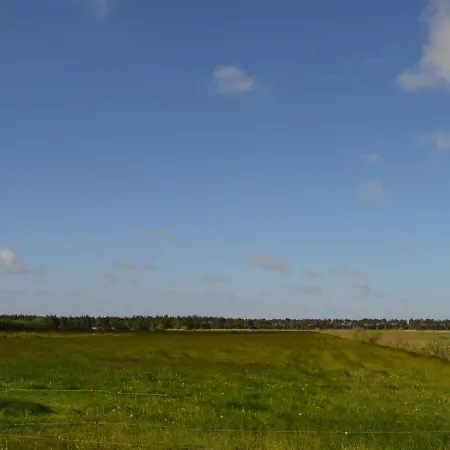 Helline - 900m From The Sea In Western Jutland By Interhome *