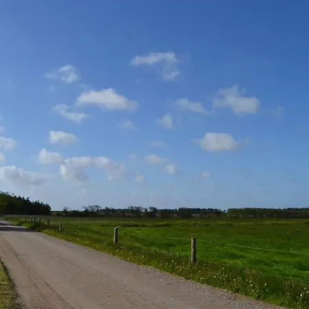 Helline - 900m From The Sea In Western Jutland By Interhome Molby